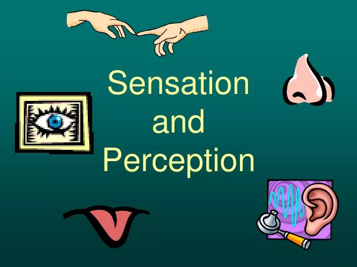 Definitions and Distinctions of Sensation and Perception