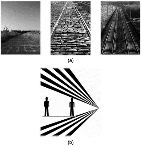Depth Perception (Binocular & Monocular Cues)