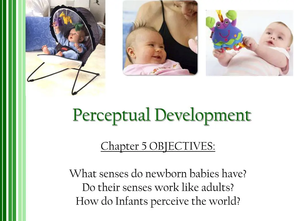Infant Perception Studies: Foundations, Findings, and Methodologies