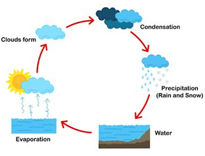 5 Elements in the Water Cycle: A Simplified Examination