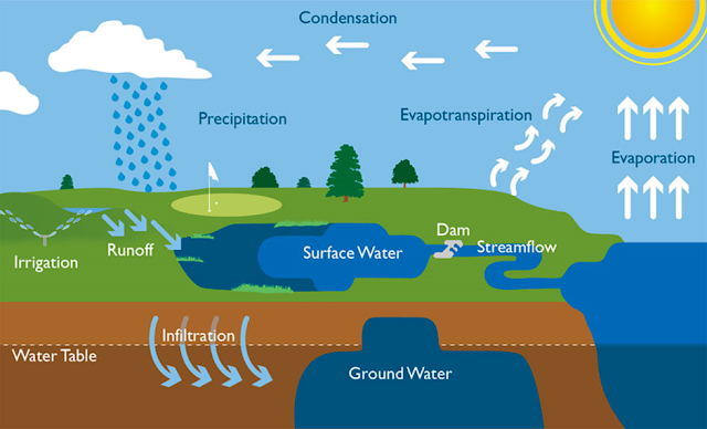 5 Elements in the Water Cycle: A Simplified Examination
