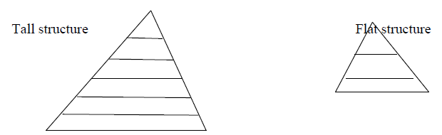 Organisational structures, Work and Job Design