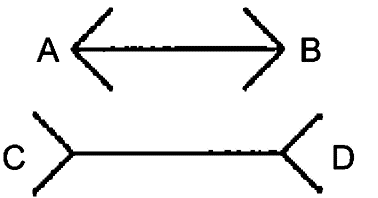 Visual Illusion: The Muller-Lyre illusion