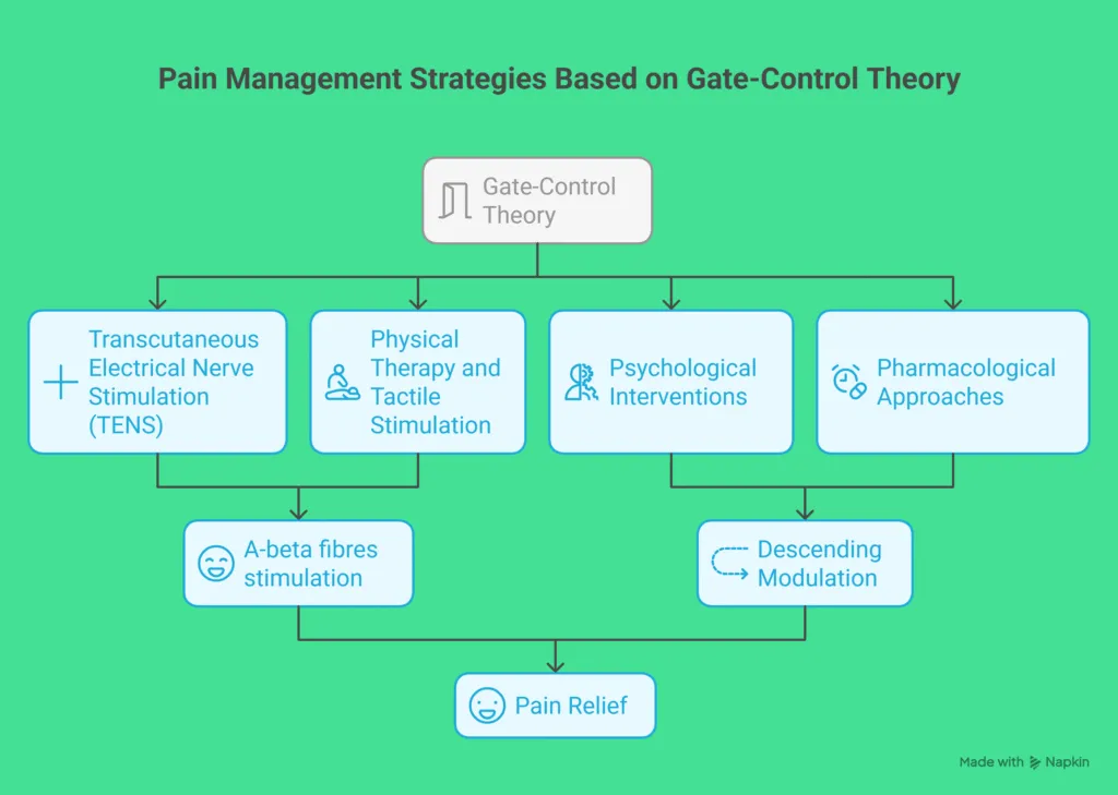 Clinical Implications of the Gate-Control Theory