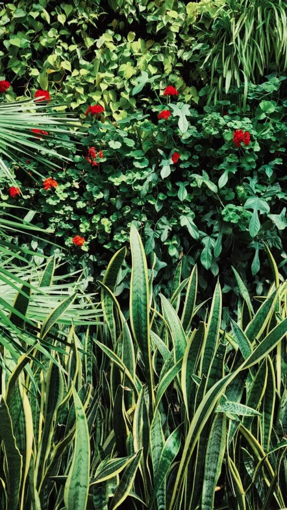 Types of Plants: Classification Made Easy